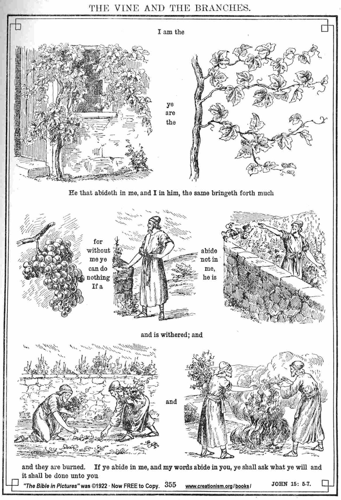 Pictures for the 5th Sunday in Easter, Year B