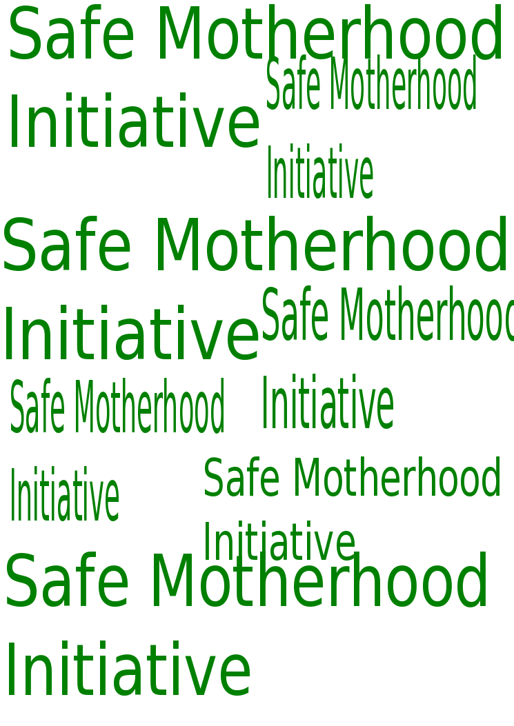 Safe Motherhood Program in Nepal Evolution and Impact Dimensions Of