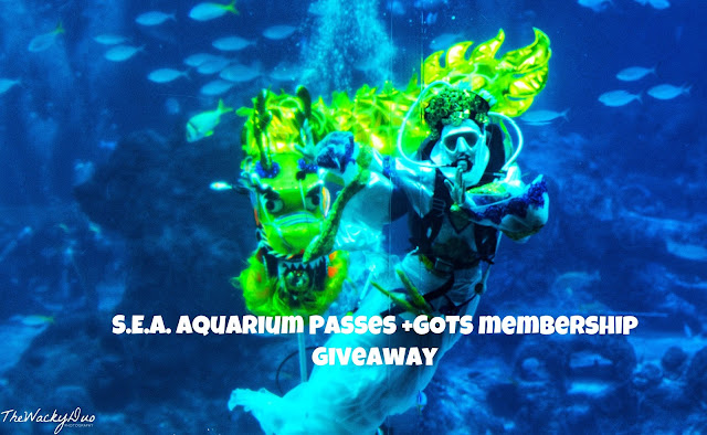 SEA Aquarium Gong Sea Fa Cai + Guardians of the S.E.A.A Review  + Giveaway