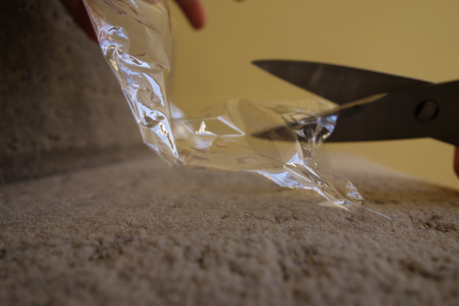 Butterflyiing Tips Dried out MAC Paint Pot