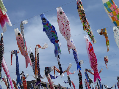 【大阪府高槻市】芥川桜堤公園の上空を泳ぐ約1000匹のこいのぼり