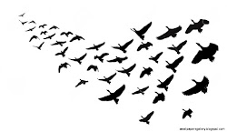 bird birds geese migration clipart migrating formation flying flight silhouette pattern migratory vector wallpapers goose illustration animal amazing clipground stencil