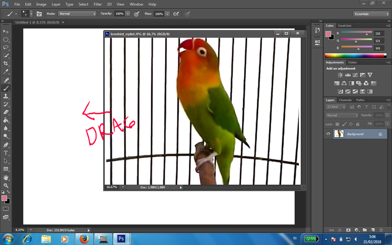 Cara Menggambar Burung Lovebird Robot Di Photoshop Cs3 Cs4 Cs5 C6