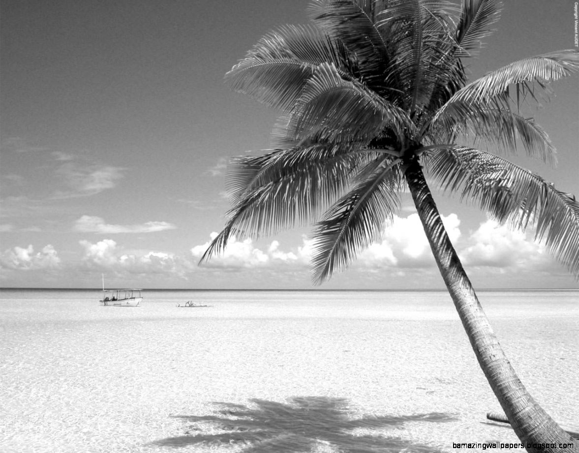 Black And White Beach Pictures   Widescreen HD Wallpapers