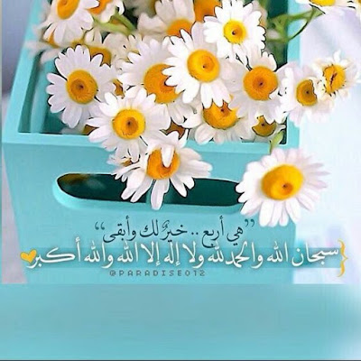 صور جميلة