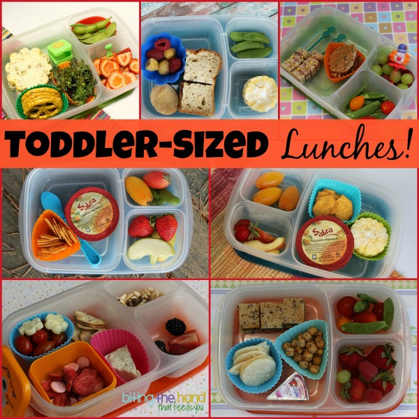 Biting The Hand That Feeds You: Toddler-Sized Lunches For My Little One!
