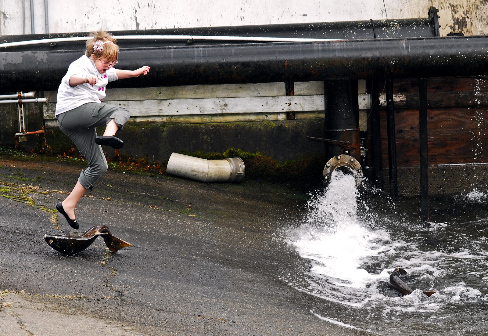 Picture Window photo blog Kenz at the Nemah fish hatchery, Nemah, Wa.
