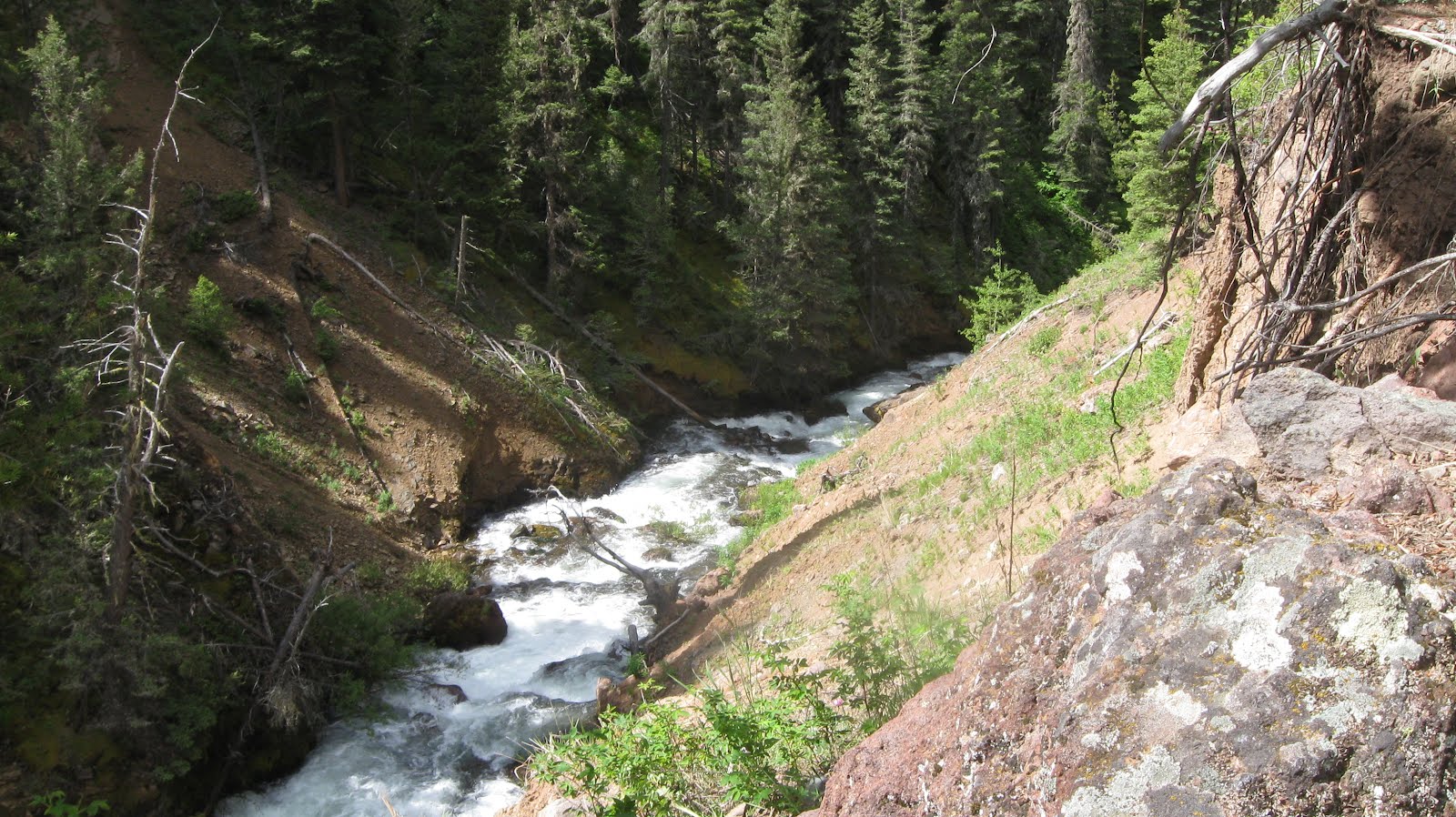 troutbirder Beautiful Swan Creek