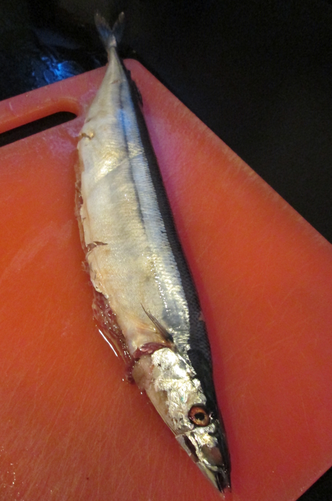 Popo's River broiled mackerel pike, "autmn knife fish"