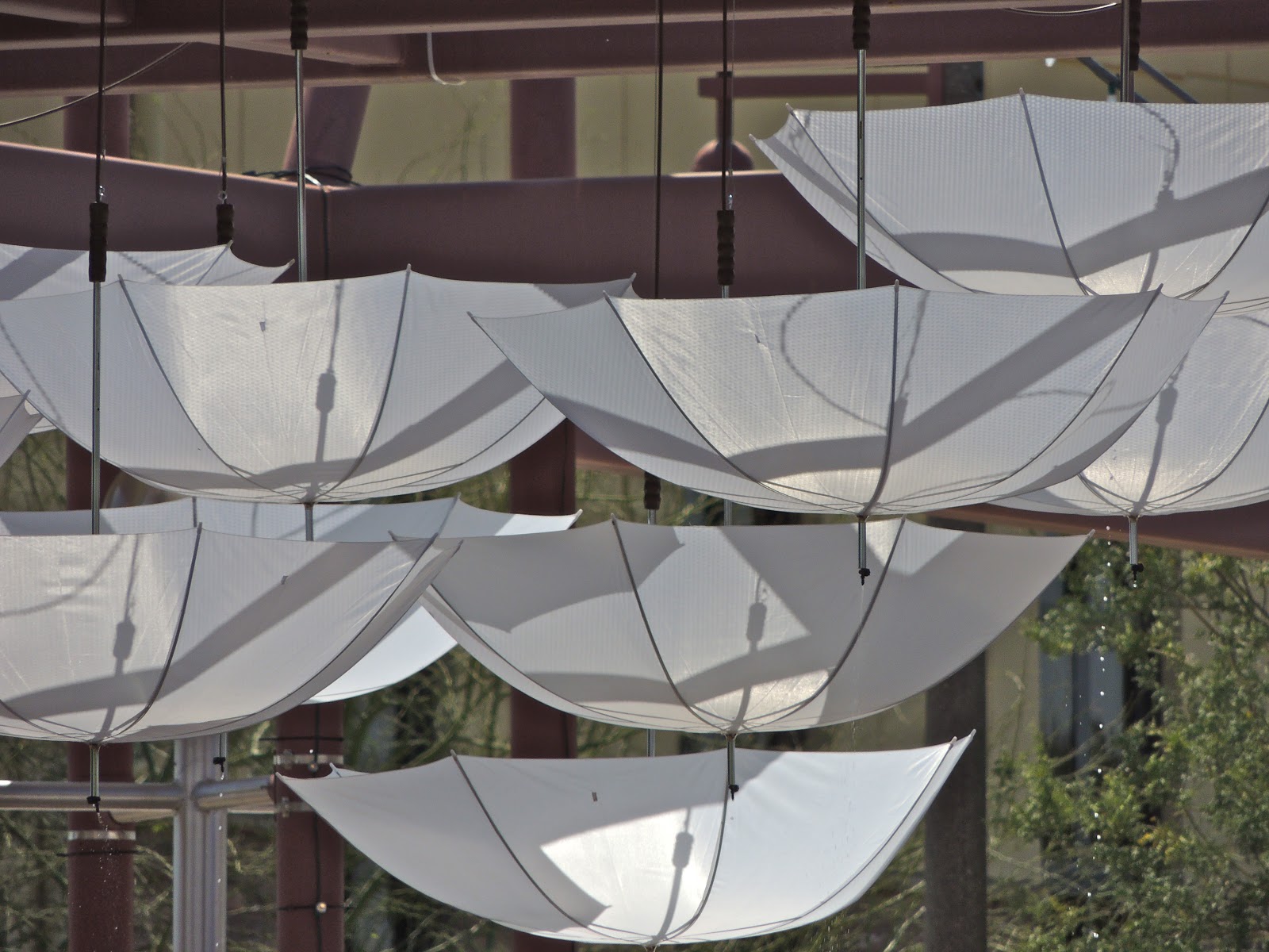 Scottsdale Daily Photo Photo Upside down umbrellas