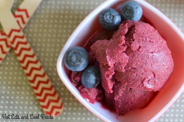 Amazingly delicious spring or summertime treat! Perfect for those hot days when you need to cool off! Or add to soda or wine for a delicious beverage! Blueberry Rhubarb Sorbet Recipe from Hot Eats and Cool Reads