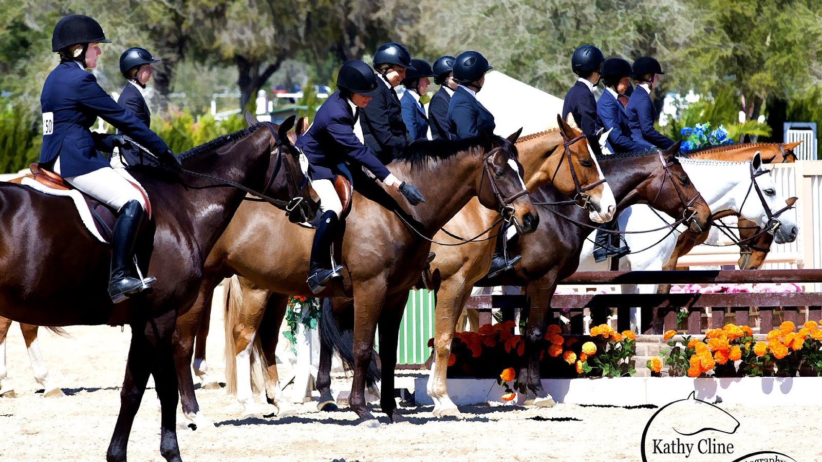 Ocala Hits Horse Show Horse Choices