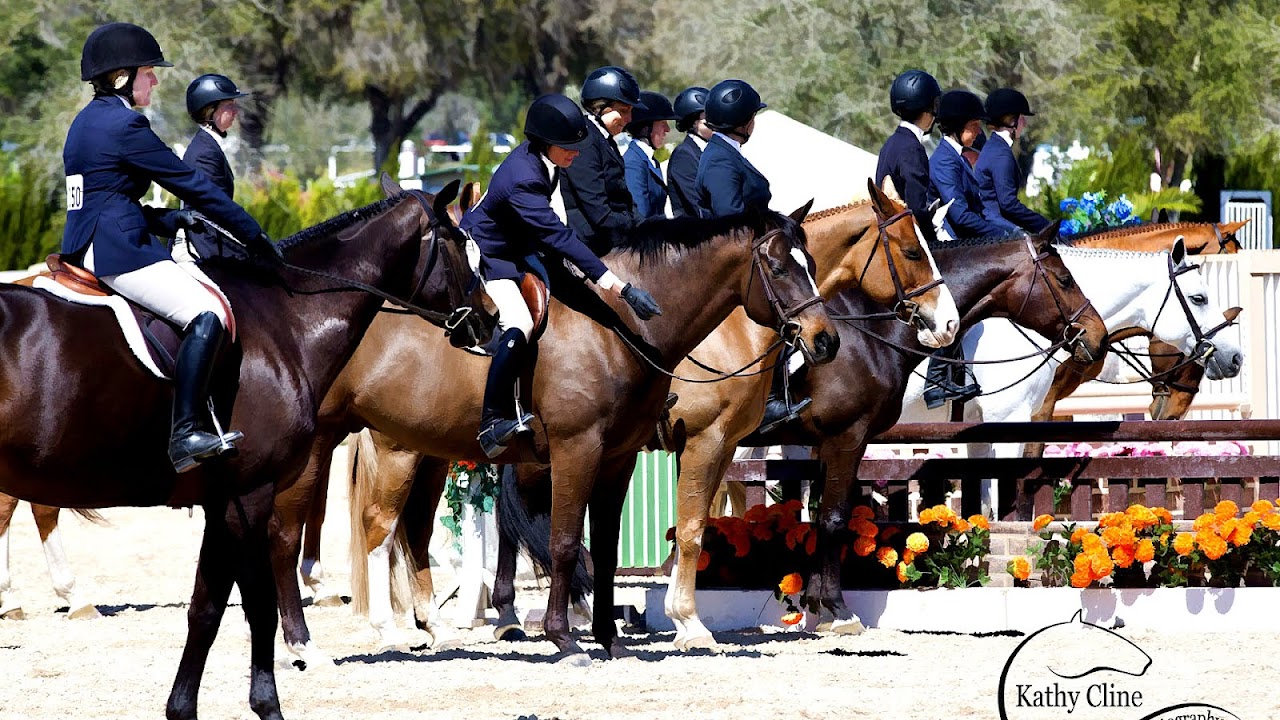 Ocala Hits Horse Show Horse Choices