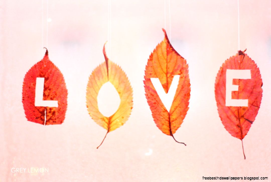 Home Decorating Ideas