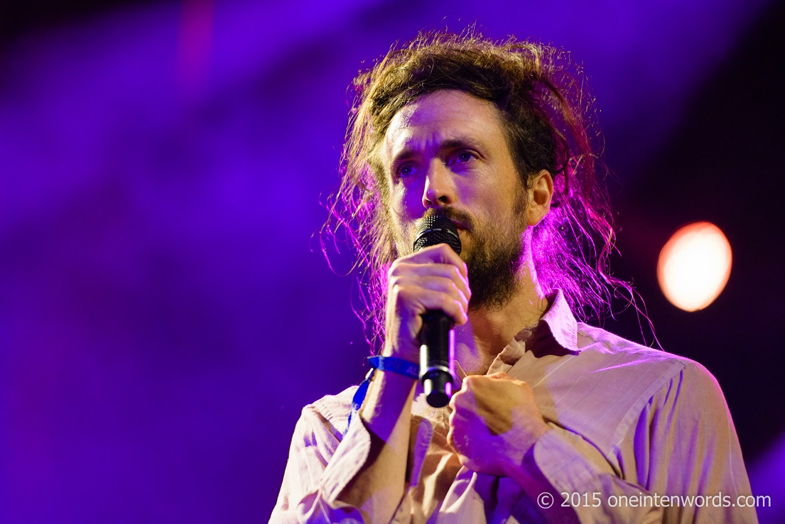 one in ten words TURF 2015 Day 2 Edward Sharpe and the Zeros