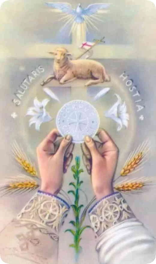 Clases de Catequesis infantil