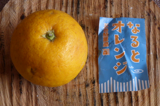 なるとオレンジ 淡路島だけで栽培される希少な原生種のみかん を初めて食べる 珍妙雑記帖