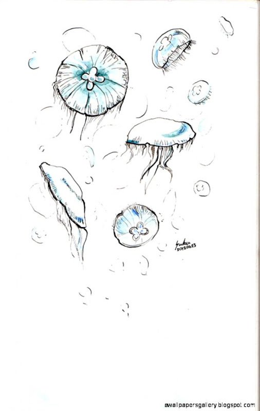 Moon Jellyfish Drawing