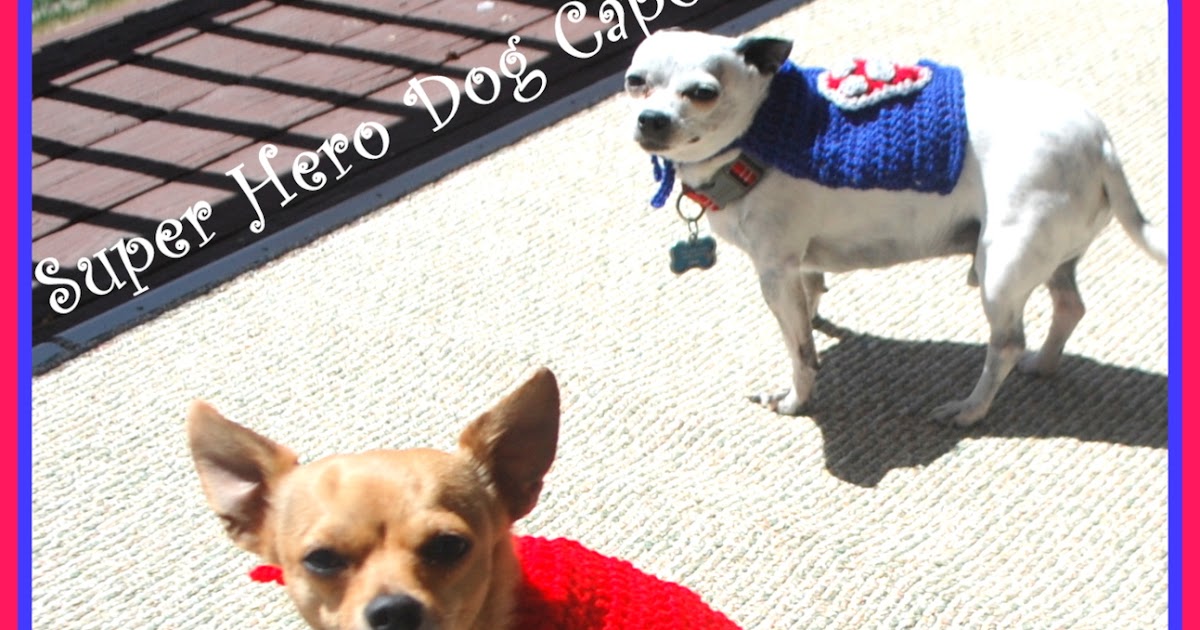 Posh Pooch Designs Dog Clothes Super Hero Dog Cape Free Crochet