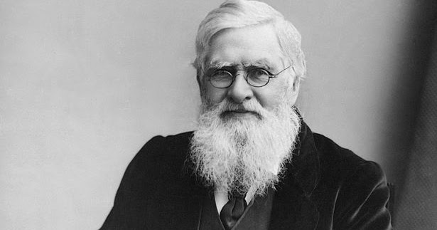 alfred russel wallace wiki alfred russel wallace wiki