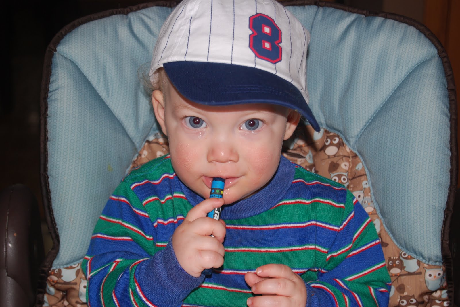 Team Studer Color Bins