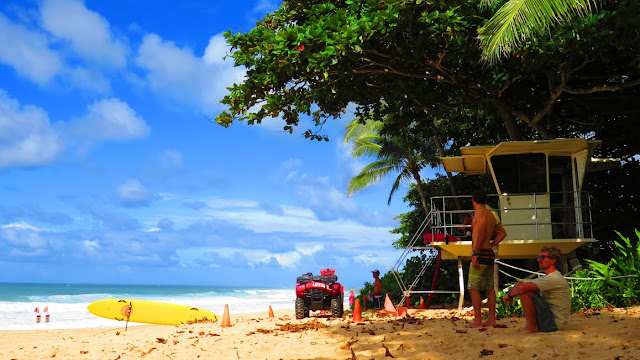 Blog Apaixonados por Viagens - Havaí / Hawaii , por Fernanda Magalhães