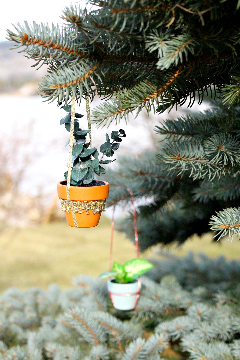 DIY Mini Potted Plant Holiday Ornament