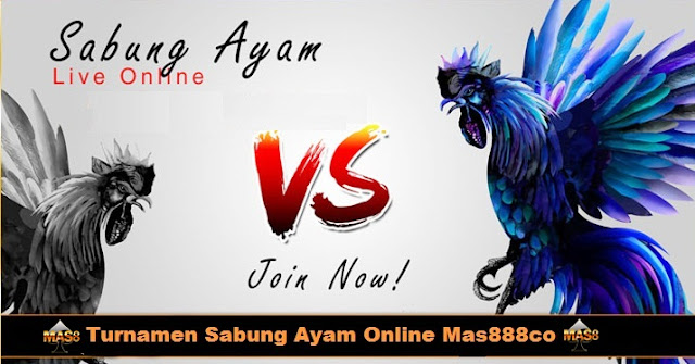 sabung ayam online