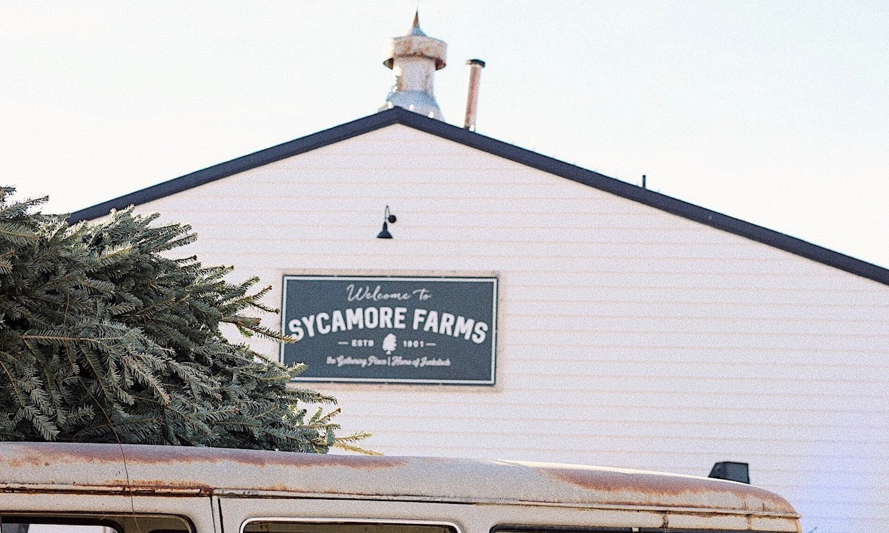 Winter Wonderland at Sycamore Farms + Block 16