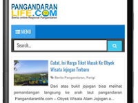 Perbedaan Tampilan Mobile Responsive dan Khusus Mobile