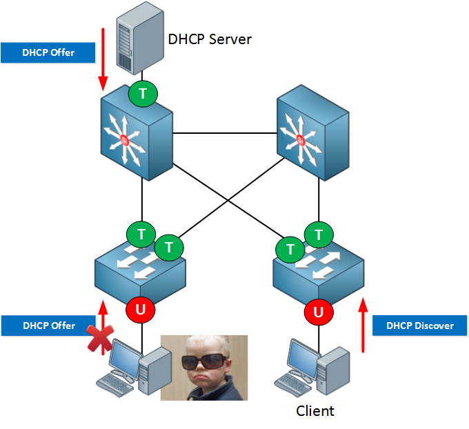 Top DHCP Snooping Reviews! MagOne 2016