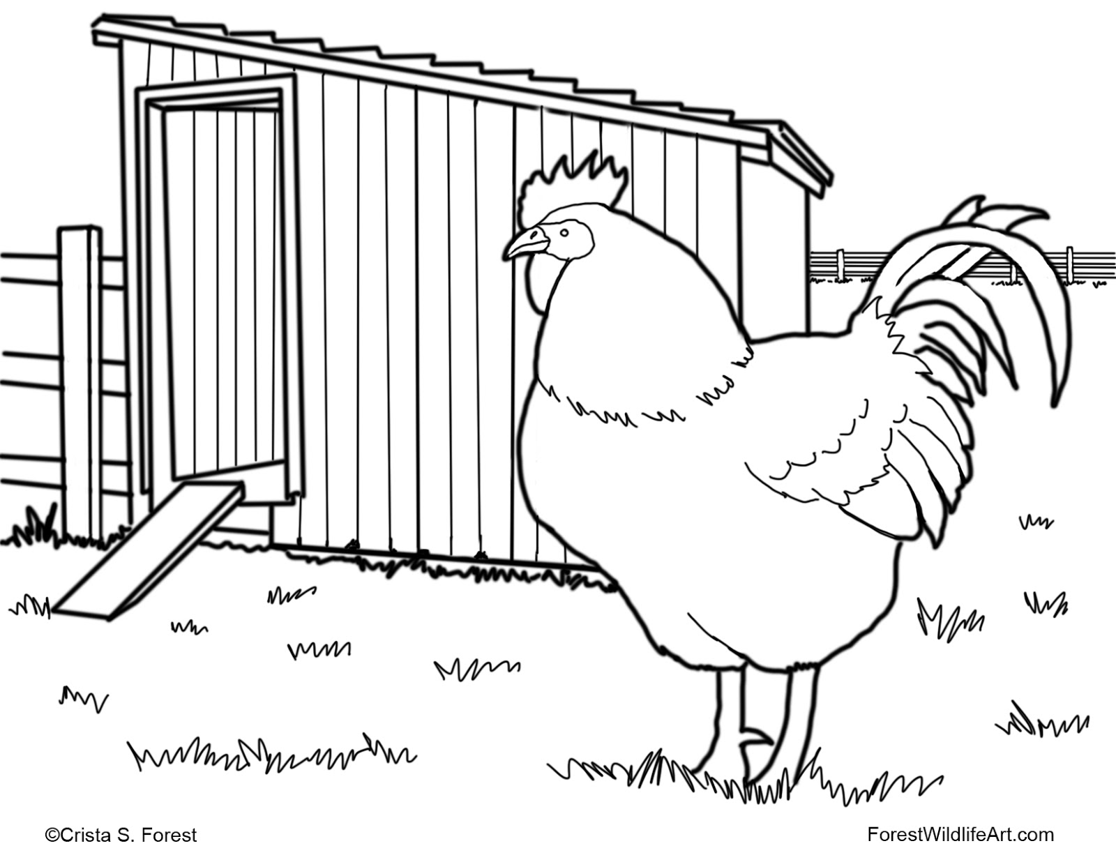 Children s Coloring Page Rooster