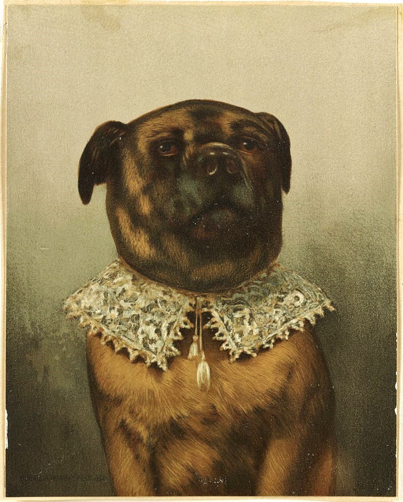 It's About Time The 1500s Ruff appears as Pet Fashion 1800s America