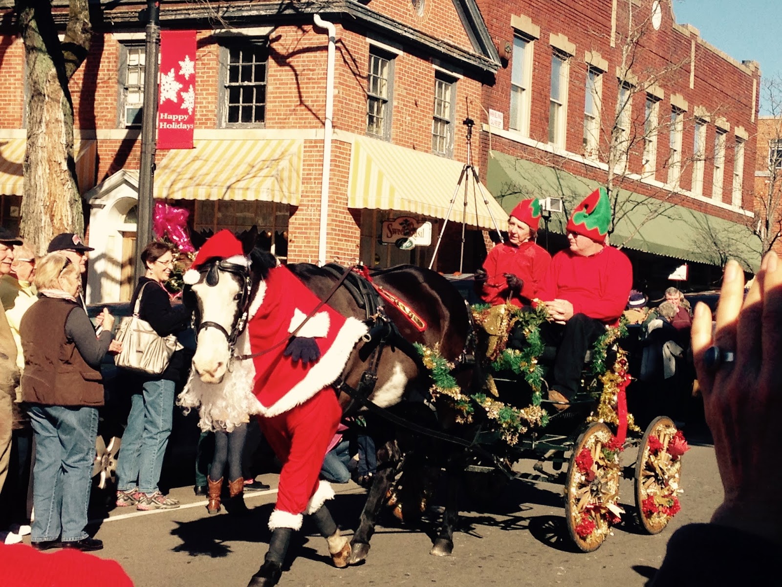 Towering Pines Living Southern Pines Carriage Parade