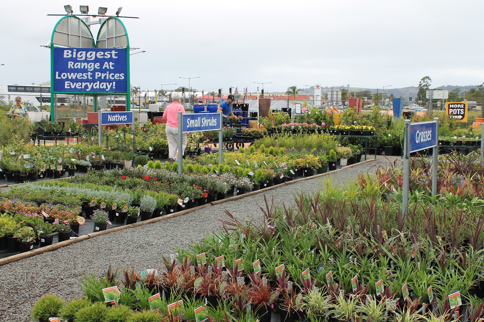 Blooming Gardens Wollongong Wholesale Nursery