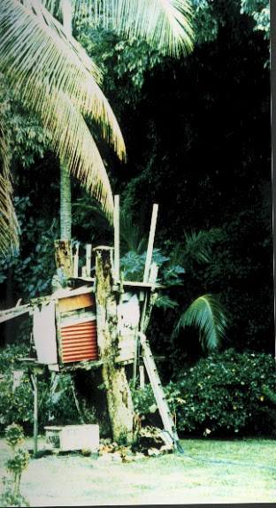 1999 Treehouse-Rarotonga