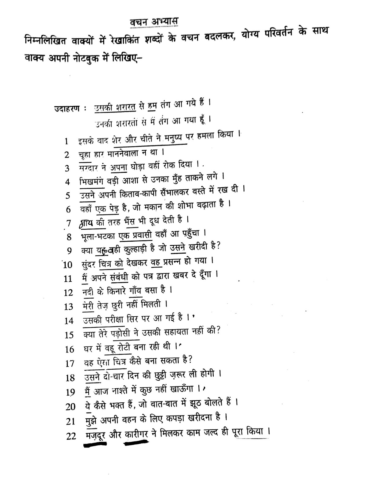 hindi-grammar-work-sheet-collection-for-classes-5-6-7-8-singular-plural-work-sheets-fpr