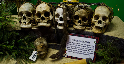 Shrunken Heads at Ripley's Believe it or Not in Wisconsin Dells Shrunken Heads at Ripley's Believe it or Not in Wisconsin Dells