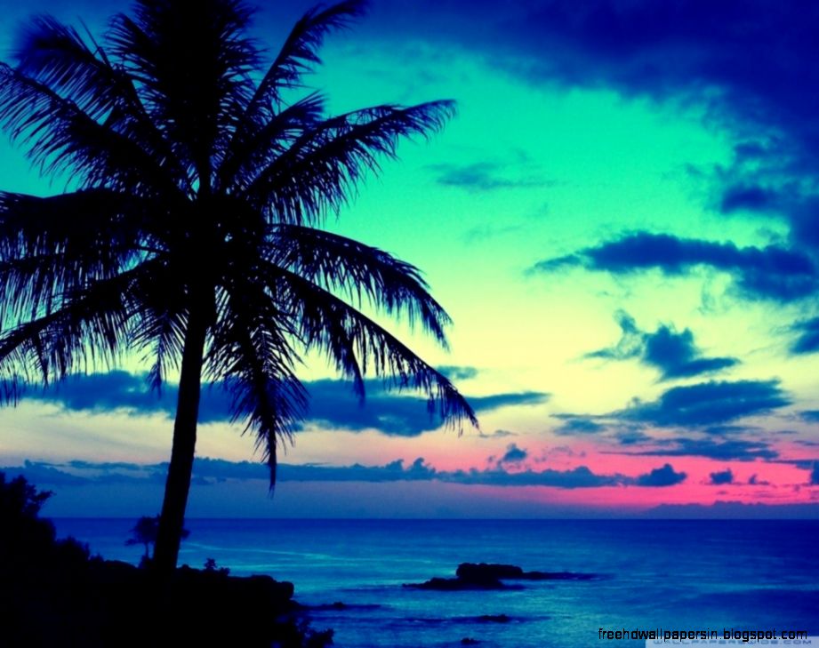 Tropical Sunrise HD desktop wallpaper  High Definition
