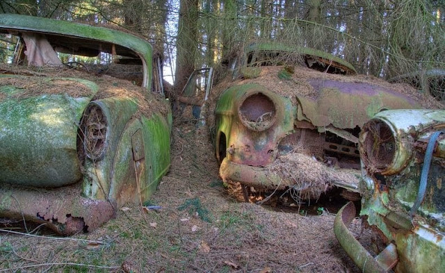 cementerio autos bosque Chatillon Bélgica