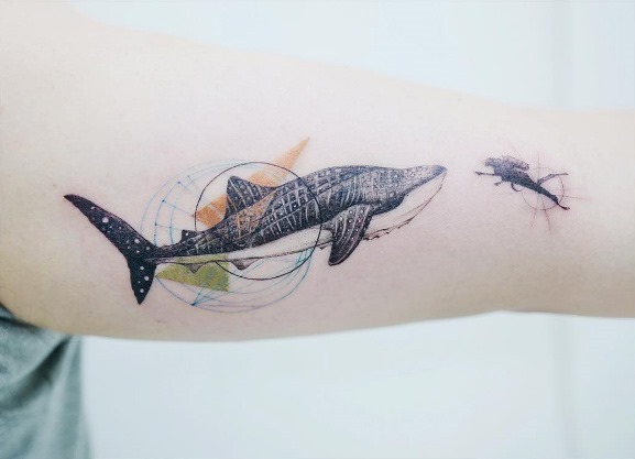 Tatuagens de tubarões Tatuagens de tubarões