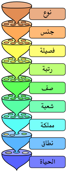 علم التصنيف Taxonomy