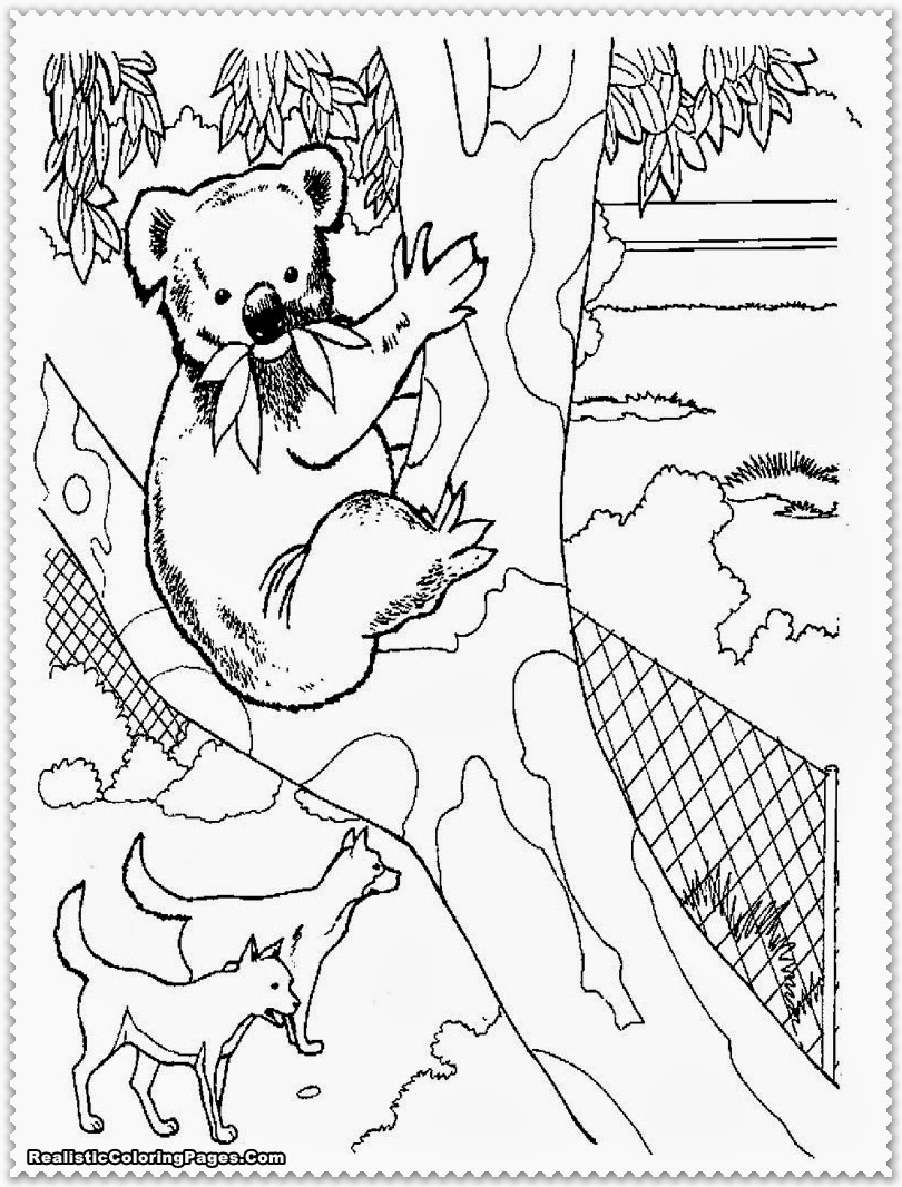 zoo animal coloring pages for kids - photo #9