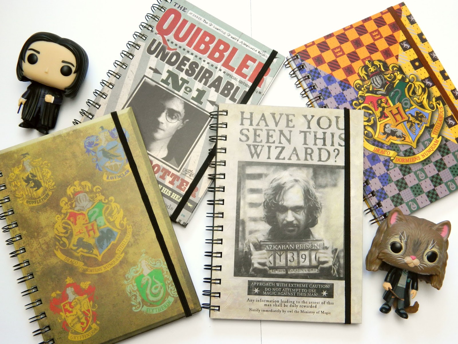 Harry Potter Notebooks From Poundland Raiin Monkey