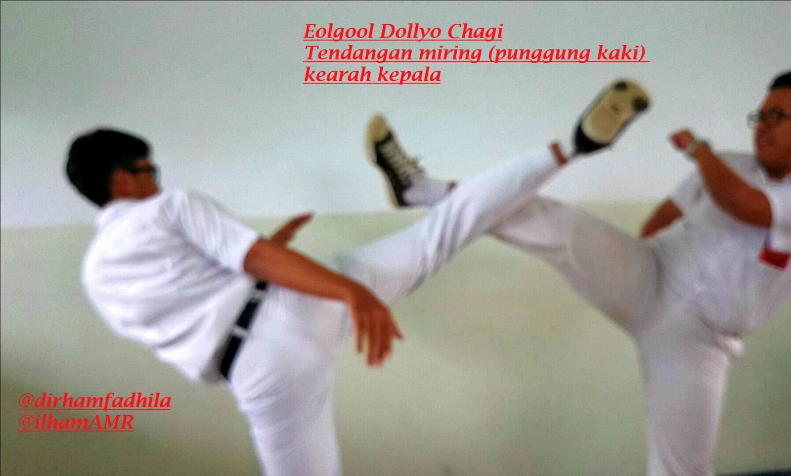 Dirham Fadhila Blog: Nama Gerakan TAEKWONDO dan PERATURAN TANDING