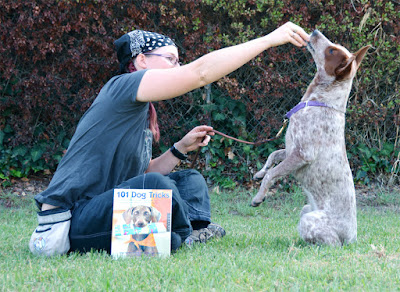 book of dog tricks and training ideas
