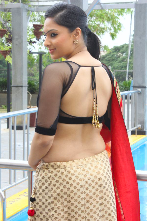 Nikesha Patel Shocking Images In Half Saree Hot Hips And Bare Back Showing