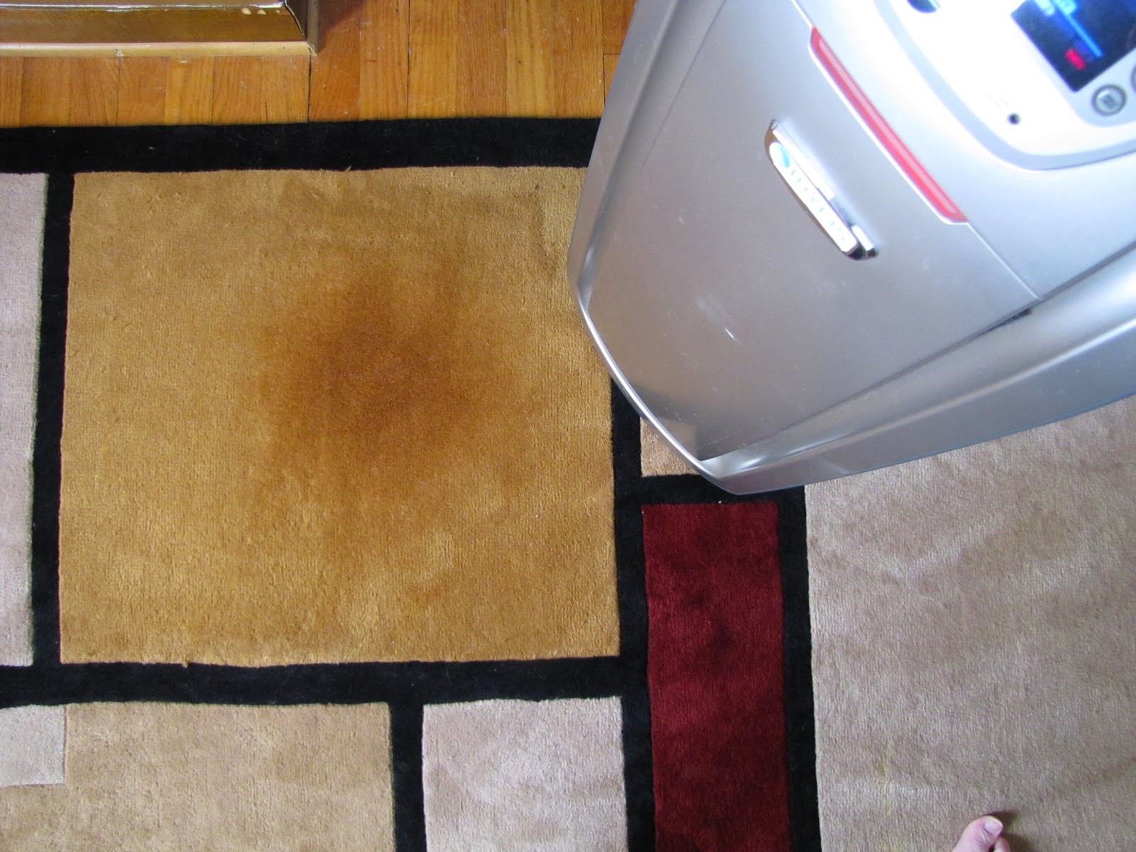Best Carpet Cleaner And Stain Remover How To Remove Cat Puke Stains