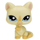 Littlest Pet Shop Pet Pairs Cat (#981) Pet Littlest Pet Shop Pet Pairs Cat (#981) Pet