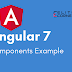 Angular 7 Components With An Example